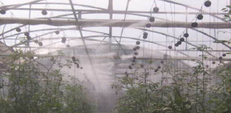 Fogging system